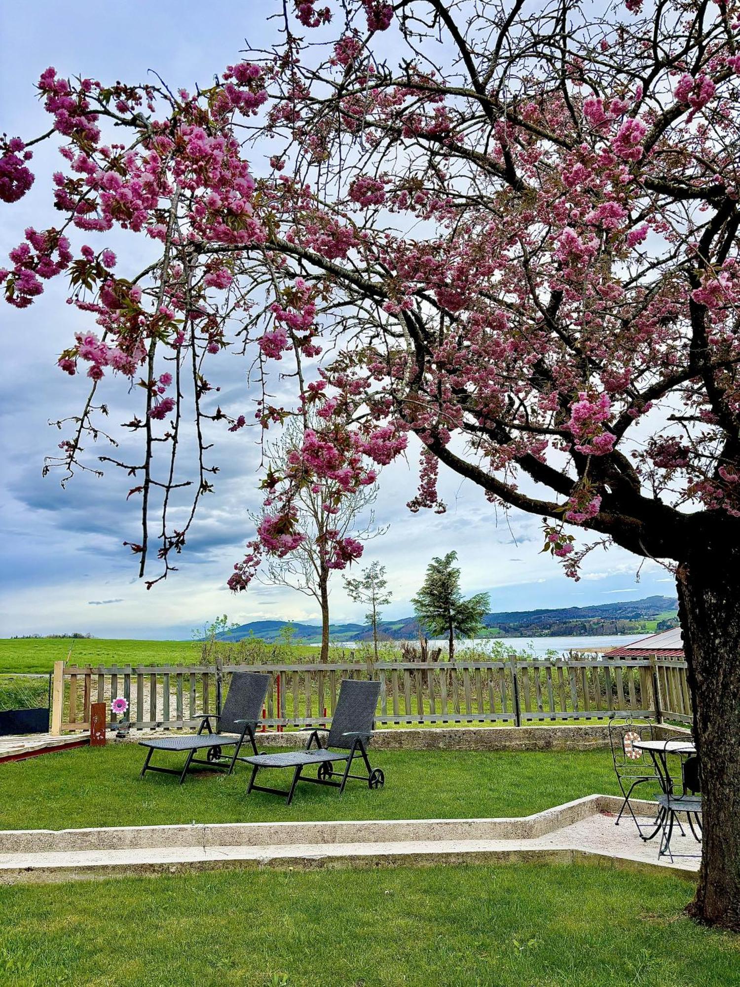 Gaesthaus "Seeblick" Seekirchen am Wallersee Quarto foto